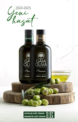 Ödüllü 2li Premium Ayvalık ve Premium Memecik 500 ml Erken Hasat Natürel Sızma Zeytinyağı (Yeni Hasat)