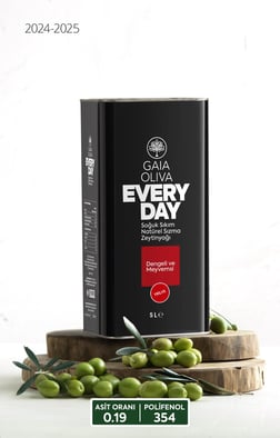 Everyday Trilye 5 lt Natürel Sızma Zeytinyağı (Yeni Hasat)