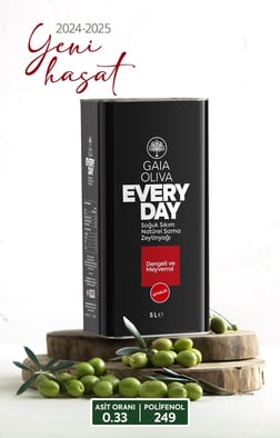 Everyday Ayvalık 5 lt Natürel Sızma Zeytinyağı (Yeni Hasat)