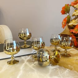 Kadeh BardağıBohemia Kristal 6 Lı Kadeh 250 ml