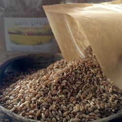 Siyez Bulguru 500 g
