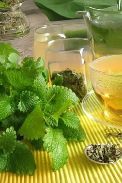 Aktar ÜrünleriDupnisa ÇiftliğiMelisa Çayı
