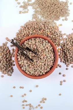 Aktar ÜrünleriDupnisa ÇiftliğiYeşil Mercimek
