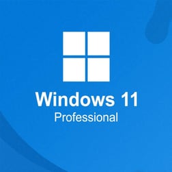 Windows 11 Pro Dijital Lisans Key 