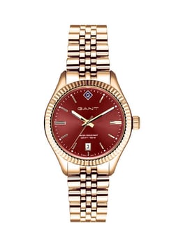 GANT G136021 Kadın Saati