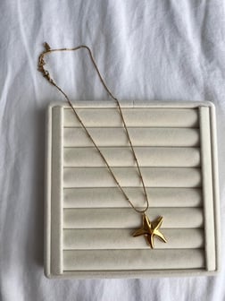 Shinig Star Collection Çelik Kolye 56