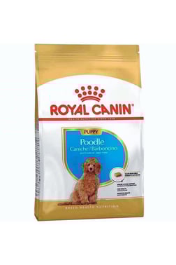 Royal Canin Poodle Puppy Köpek Maması 3 Kg