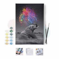 Sayılarla Boyama Seti Renk Yağmuru ve Fil 60x75cm