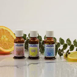 Okaliptus Portakal Limon Koku Seti