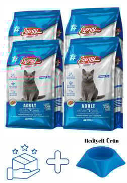Somonlu Yetişkin Kedi Maması 500 G - 4 Adet