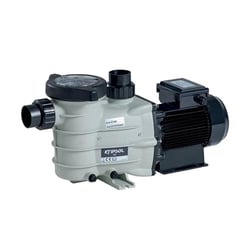 S2 Model Havuz Pompası