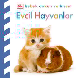 Bebek Dokun ve Hisset Evcil Hayvanlar