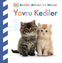 Bebek Dokun ve Hisset Yavru Kediler