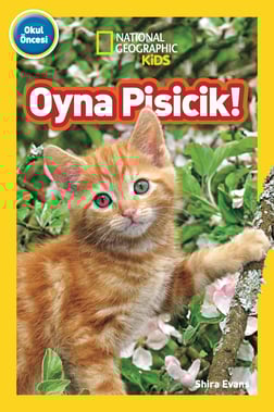 Oyna Pisicik!