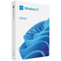 Microsoft Windows 11 Home 64bit Türkce Kutu HAJ-00123