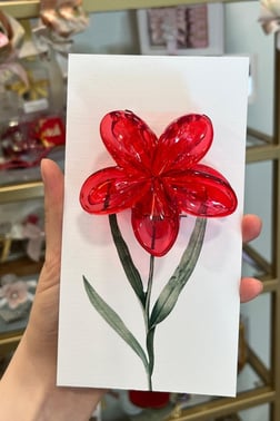Lotus Toka 8 cm