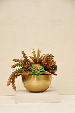 Yaz Home | Eskitme Saksı Sukulent Aranjman