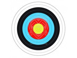 AVALON HEDEF KAĞIDI 80 CM 10 HALKA