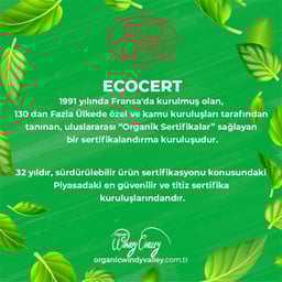 Organik Susam (200 gr) 