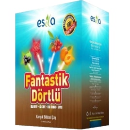 Esila Fantastik Dörtlü Yaz Çayı 90 Gr görseli.