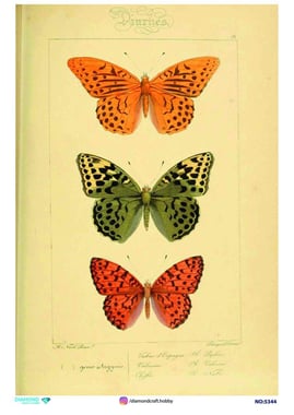 5344-diamond-pirinc-dekopaj-30x42-cm-a3-892.jpg