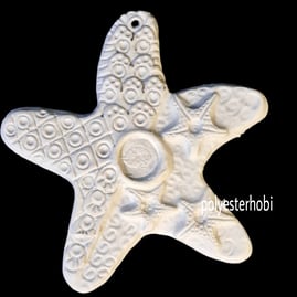 ob-1639-deniz-yildizi-buyuk-boy-asilab-bfe8-3.png
