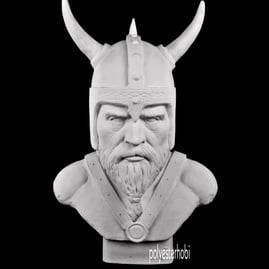ob-1684-dev-tasarim-viking-savasci-ham-8d2f0e.png
