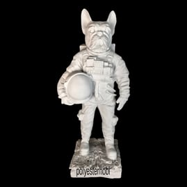 ob-1751-astronot-kopek-ham-polyester-o-32ea63.png