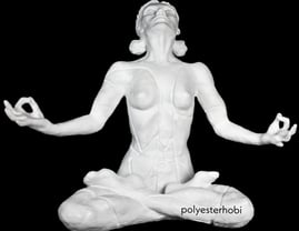 ob-1816-meditasyon-yapan-kizilderili-k-c-aca4.png