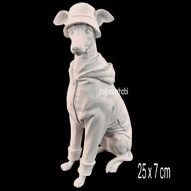 ob-2179-yagmurluklu-kopek-ham-polyeste-13f044.jpg