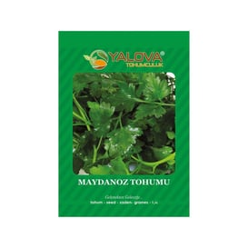 Yalova Maydanoz Tohumu (BTK.00800)