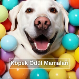Köpek Vitamin ve Ödül Mamaları