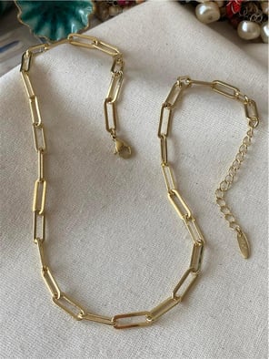 VIP 14K Paylı Oval Zincir Kolye
