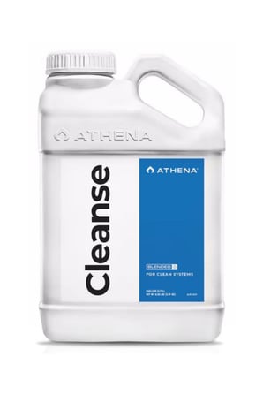 athena-cleanse-3-2c481e.jpg