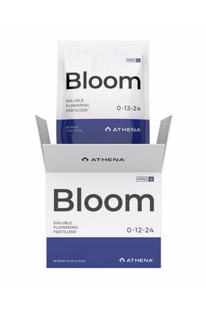 athena-pro-bloom-4--4297-.jpg