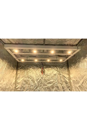 CİTİ 8 215W Full Spectrum Grow Led Lamba Satın Al CİTİ 8 215W Full Spectrum Grow Led Lamba Satın Al