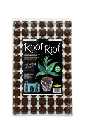 root-riot-koklendirme-kupu-77-viyol-4d1dd1.jpg