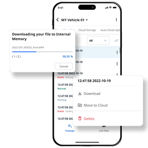 Video Backup