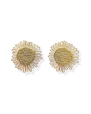 Arcturtus Earrings