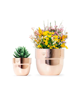 Artisan I Want You Too Copper Pots