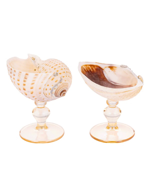 Liqueur Glass Set