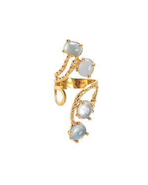 Neiva Ring