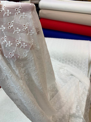 Fisto Nakış Detaylı Şifon Kumaş