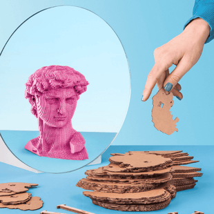 Cartonic 3D Puzzle - DAVID