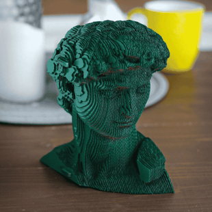 Cartonic 3D Puzzle - DAVID