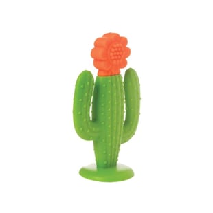 Manhattan Toy Diş Kaşıyıcı - Kaktüs