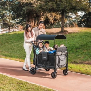 Wonderfold W4 Elite Dörtlü Bebek Arabası Vagonu - Siyah