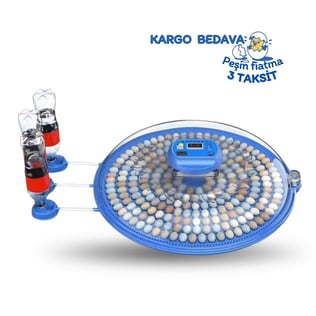 BEREN 248 Bıldırcın  Kuluçka Makinesi