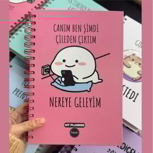 Canım Ben Şimdi Çileden Çıktım Nereye Geleyim Konuşan Ajanda