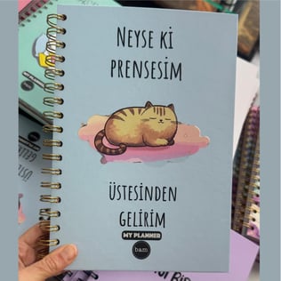Neyseki Prensesim Üstesinden Gelirim Konuşan Ajanda